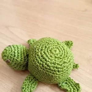 Tartaruga uncinetto