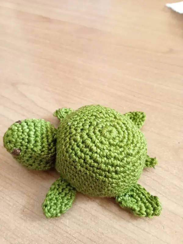 Tartaruga uncinetto