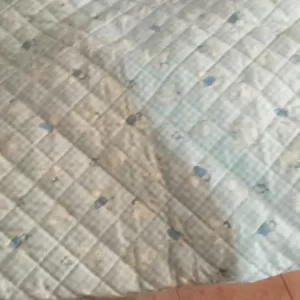 Piumoncino neonato
