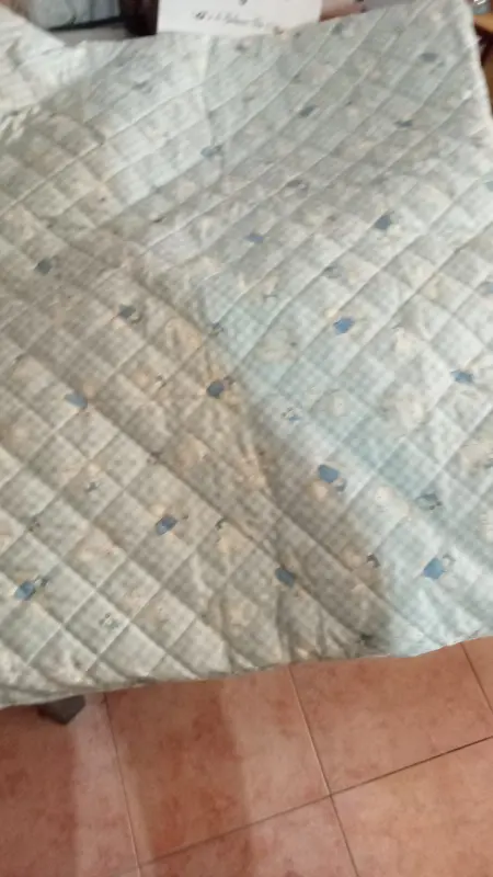 Piumoncino neonato